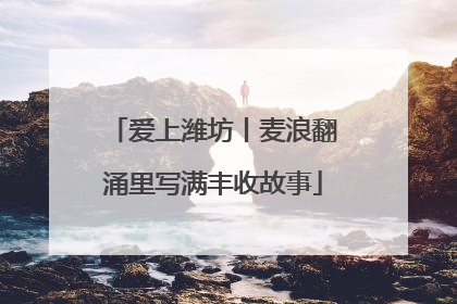 爱上潍坊丨麦浪翻涌里写满丰收故事