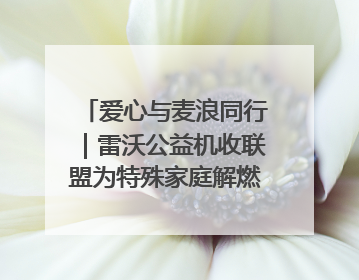 爱心与麦浪同行｜雷沃公益机收联盟为特殊家庭解燃“麦”之急