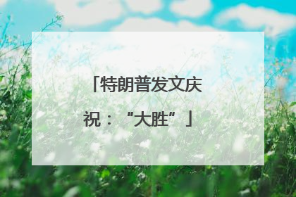 特朗普发文庆祝：“大胜”