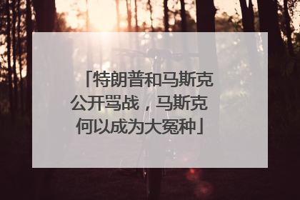 特朗普和马斯克公开骂战，马斯克何以成为大冤种