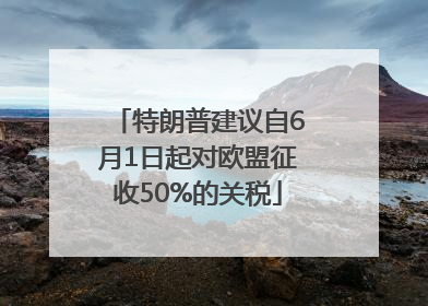 特朗普建议自6月1日起对欧盟征收50%的关税