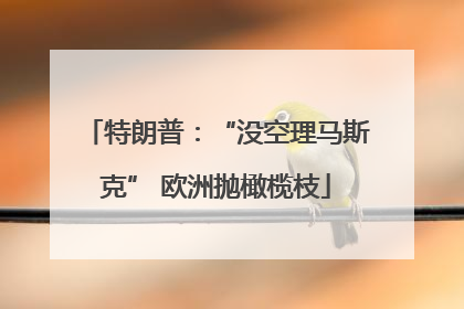 特朗普：“没空理马斯克” 欧洲抛橄榄枝