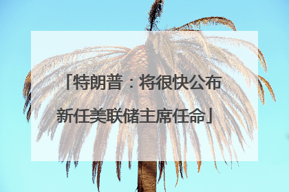 特朗普：将很快公布新任美联储主席任命