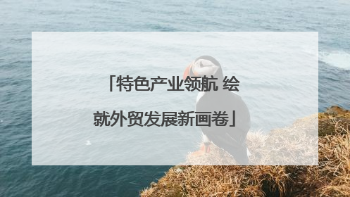 特色产业领航 绘就外贸发展新画卷