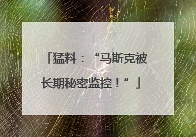 猛料：“马斯克被长期秘密监控！”