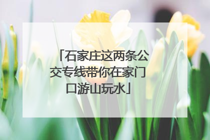 石家庄这两条公交专线带你在家门口游山玩水