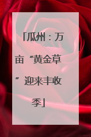 瓜州：万亩“黄金草”迎来丰收季