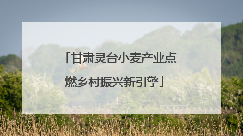 甘肃灵台小麦产业点燃乡村振兴新引擎