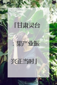 甘肃灵台：果产业振兴正当时