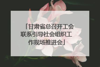 甘肃省总召开工会联系引导社会组织工作现场推进会