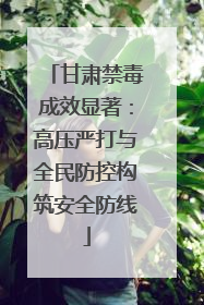 甘肃禁毒成效显著：高压严打与全民防控构筑安全防线