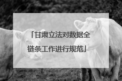 甘肃立法对数据全链条工作进行规范