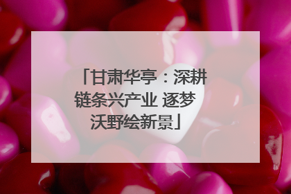 甘肃华亭：深耕链条兴产业 逐梦沃野绘新景