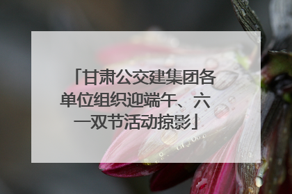 甘肃公交建集团各单位组织迎端午、六一双节活动掠影