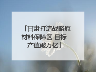 甘肃打造战略原材料保障区 目标产值破万亿