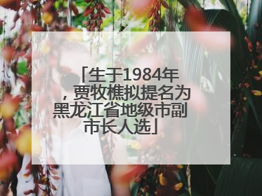 生于1984年，贾牧樵拟提名为黑龙江省地级市副市长人选
