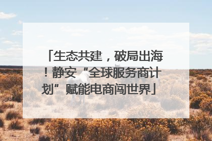 生态共建，破局出海！静安“全球服务商计划”赋能电商闯世界