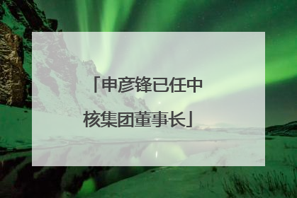 申彦锋已任中核集团董事长