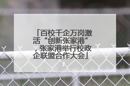 百校千企万岗激活“创新张家港”，张家港举行校政企联盟合作大会