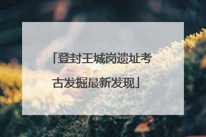 登封王城岗遗址考古发掘最新发现