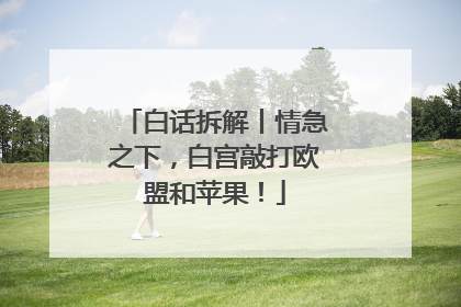 白话拆解丨情急之下，白宫敲打欧盟和苹果！