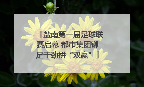 盐南第一届足球联赛启幕 都市集团铆足干劲拼“双赢”
