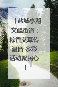 盐城亭湖文峰街道：粽香艾草传温情 多彩活动聚民心