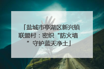 盐城市亭湖区新兴镇联盟村：密织“防火墙”守护蓝天净土