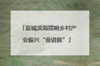 盐城滨海擂响乡村产业振兴“奋进鼓”