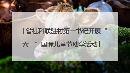 省社科联驻村第一书记开展“六一”国际儿童节助学活动