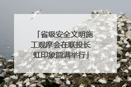 省级安全文明施工观摩会在联投长虹印象圆满举行