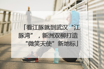看江豚就到武汉“江豚湾”，新洲双柳打造“微笑天使”新地标
