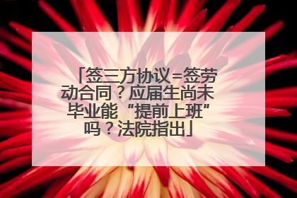 签三方协议=签劳动合同？应届生尚未毕业能“提前上班”吗？法院指出