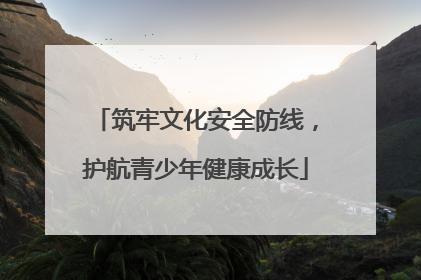 筑牢文化安全防线，护航青少年健康成长