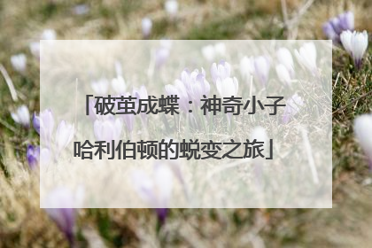 破茧成蝶：神奇小子哈利伯顿的蜕变之旅