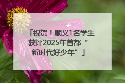 祝贺！顺义1名学生获评2025年首都“新时代好少年”