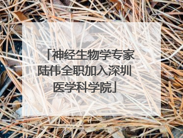 神经生物学专家陆伟全职加入深圳医学科学院