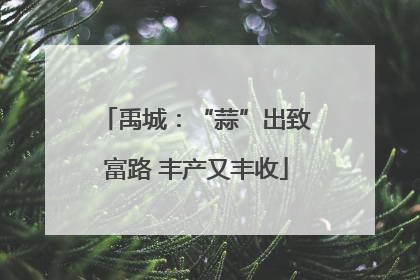 禹城：“蒜”出致富路 丰产又丰收