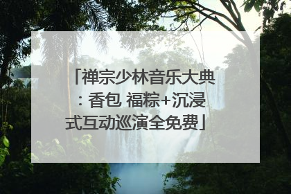 禅宗少林音乐大典：香包 福粽+沉浸式互动巡演全免费