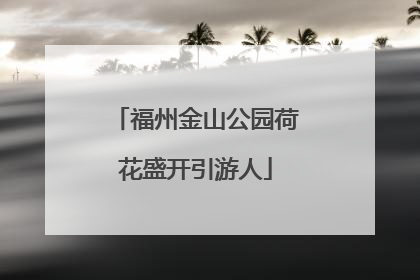 福州金山公园荷花盛开引游人