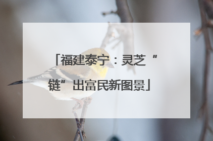 福建泰宁：灵芝“链”出富民新图景