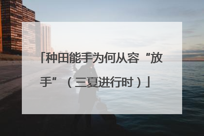 种田能手为何从容“放手”（三夏进行时）