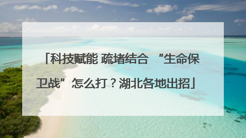 科技赋能 疏堵结合 “生命保卫战”怎么打？湖北各地出招