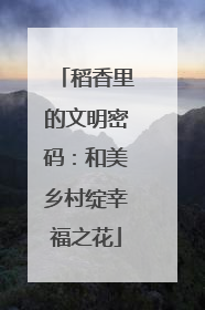 稻香里的文明密码：和美乡村绽幸福之花