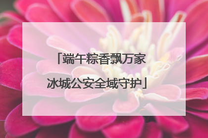 端午粽香飘万家 冰城公安全域守护