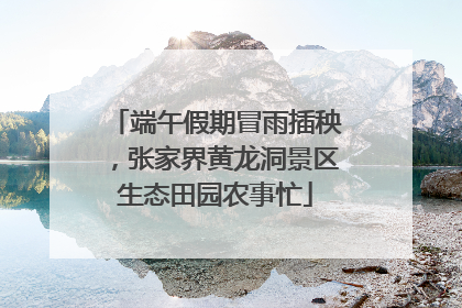 端午假期冒雨插秧，张家界黄龙洞景区生态田园农事忙