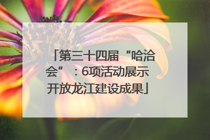 第三十四届“哈洽会”：6项活动展示开放龙江建设成果