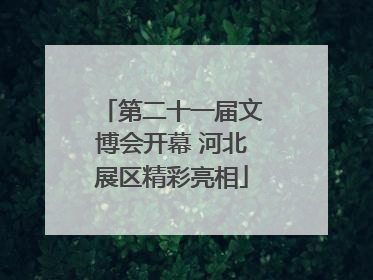 第二十一届文博会开幕 河北展区精彩亮相