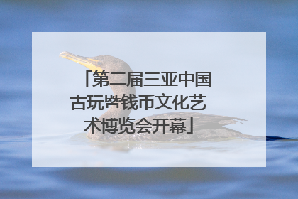 第二届三亚中国古玩暨钱币文化艺术博览会开幕