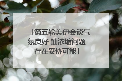 第五轮美伊会谈气氛良好 铀浓缩问题存在妥协可能